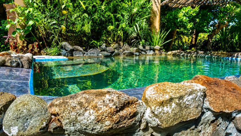 Pool_cropped_enhanced