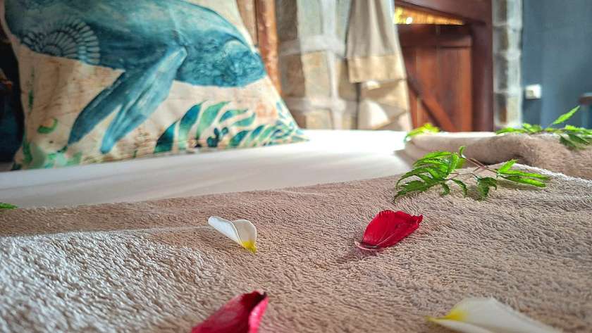 bed_rose