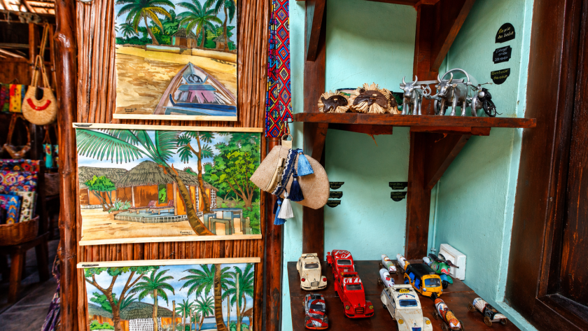 shelf_cropped